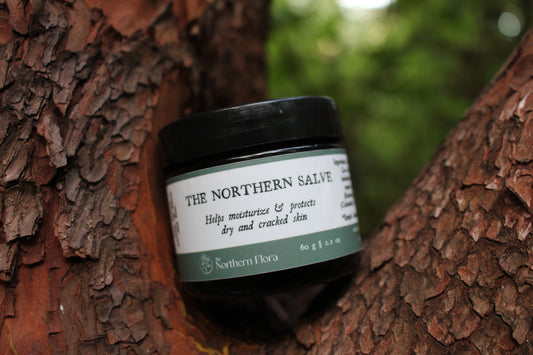 Northern Salve
