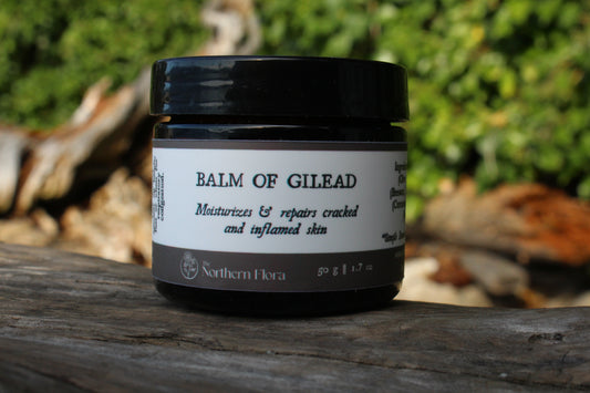 Balm of Gilead